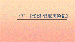 六年級語文下冊 第四組 17《湯姆 索亞歷險記》教學課件 新人教版.ppt