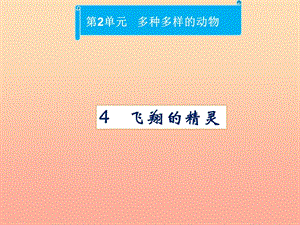 四年級科學(xué)上冊 2.4 飛翔的精靈課件2 湘教版.ppt