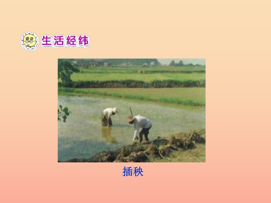 一年級(jí)品德與生活下冊(cè) 小苗快快長(zhǎng)課件之一 新人教版.ppt_第1頁(yè)