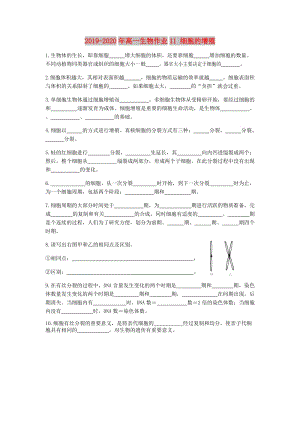 2019-2020年高一生物作業(yè)11 細(xì)胞的增殖.doc