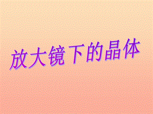 六年級科學下冊 第一單元 微小世界 3 放大鏡下的晶體課件5 教科版.ppt