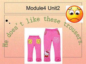 二年級英語上冊 Module 4 Unit 2 He doesn’t like these trousers課件2 外研版.ppt