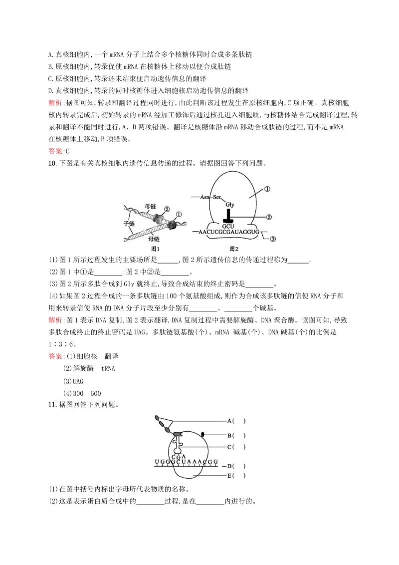 2019-2020年高中生物 课时训练 13 从基因到蛋白质 苏教版必修2.doc_第3页