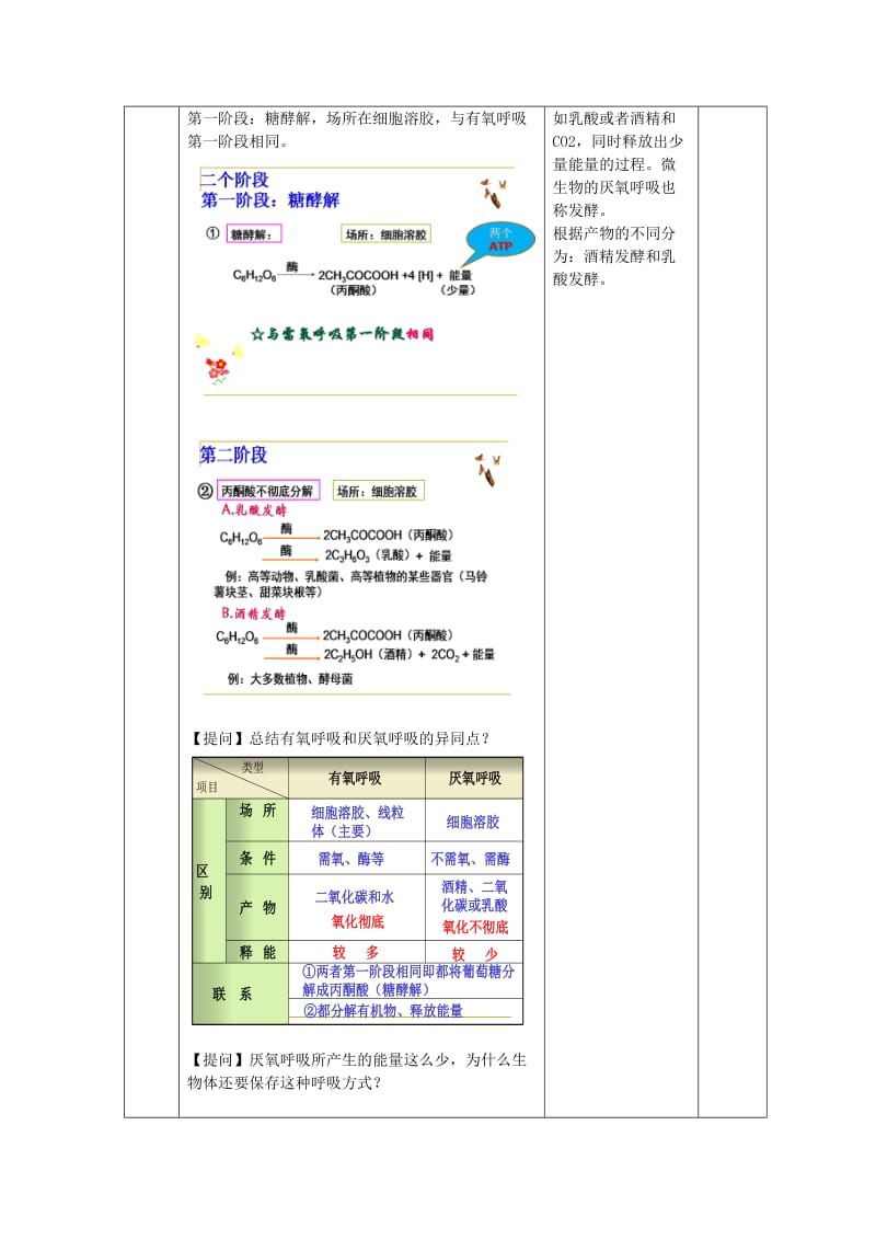 2019-2020年高中生物 第三章细胞的代谢 第四节细胞呼吸教案（1） 浙科版必修1.doc_第3页