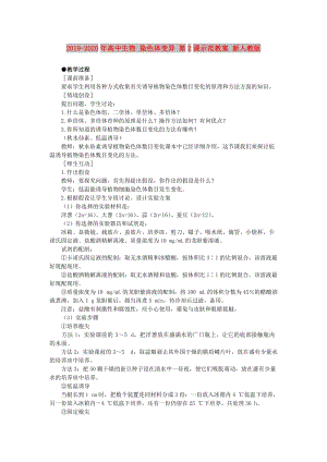 2019-2020年高中生物 染色體變異 第2課示范教案 新人教版.doc