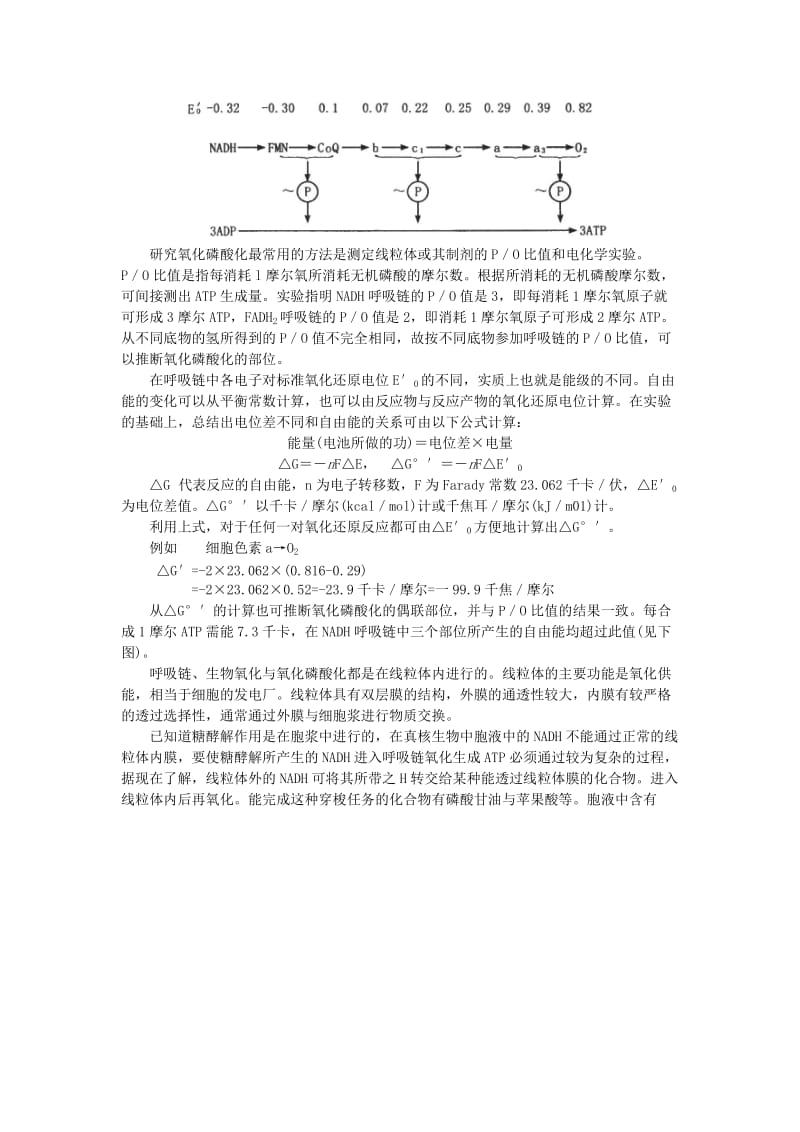 2019-2020年高中生物 （人教大纲版）第一册 第三章　生物的新陈代谢 2新陈代谢与ATP(备课资料).doc_第2页