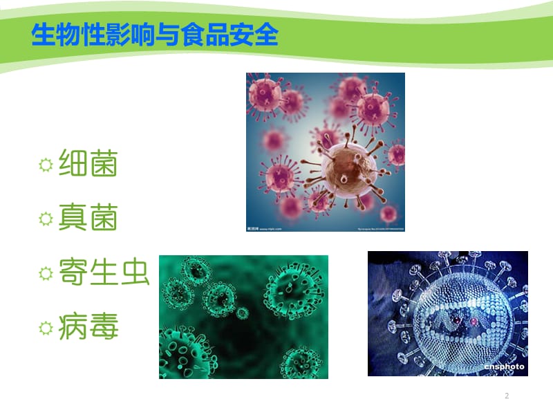 生物性影响与食品安全ppt课件_第2页