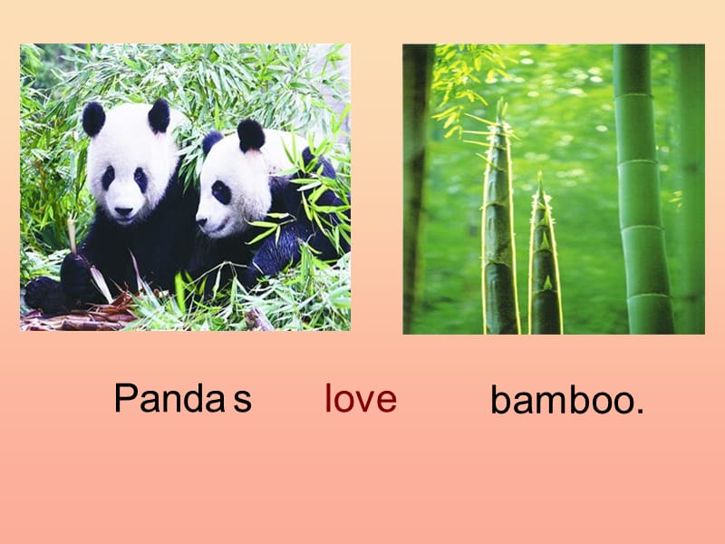 六年级英语上册Unit1Pandaslovebamboo课件2外研版一起.ppt_第2页