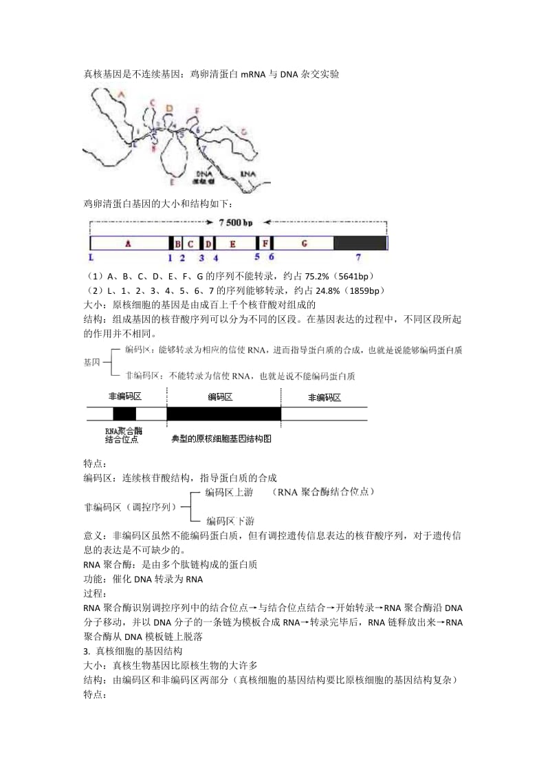 2019-2020年高中生物 认识基因 教案1 中图版必修2.doc_第2页