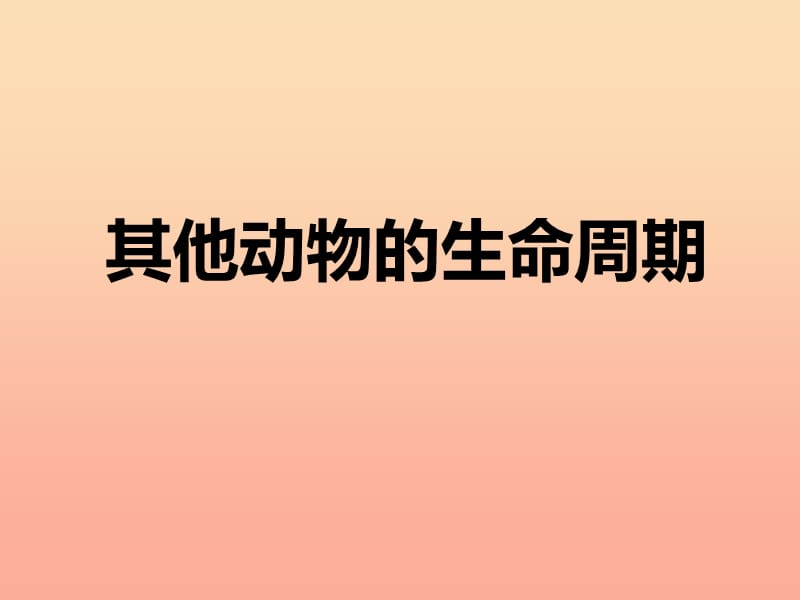 三年级科学下册 动物的生命周期 6《其他动物的生命周期》课件1 教科版.ppt_第1页