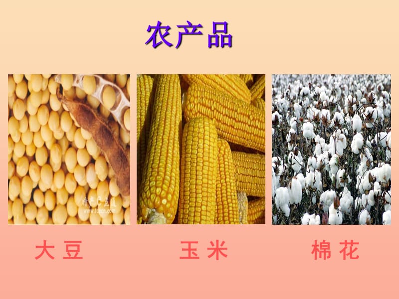 2019秋四年级品社上册《衣食的来源》课件（3） 苏教版.ppt_第2页