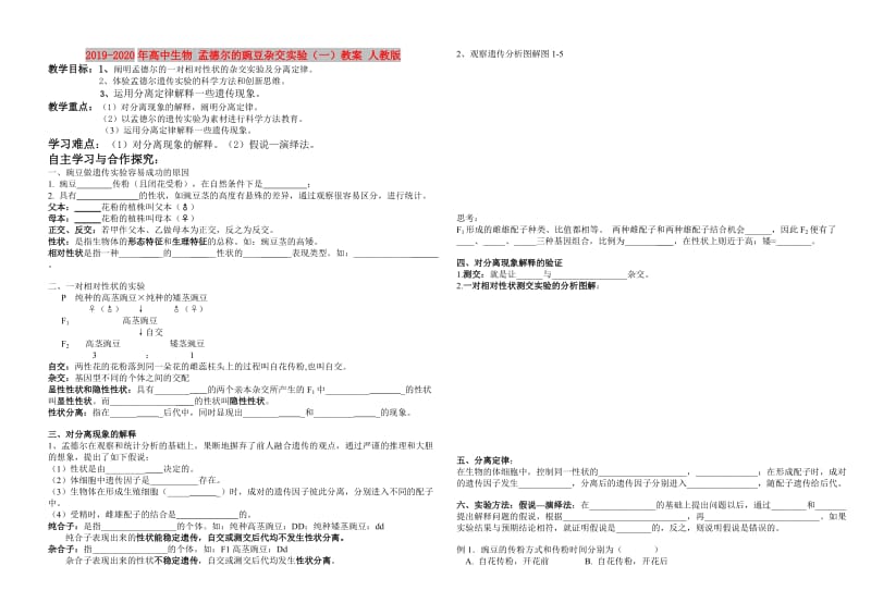 2019-2020年高中生物 孟德尔的豌豆杂交实验（一）教案 人教版.doc_第1页