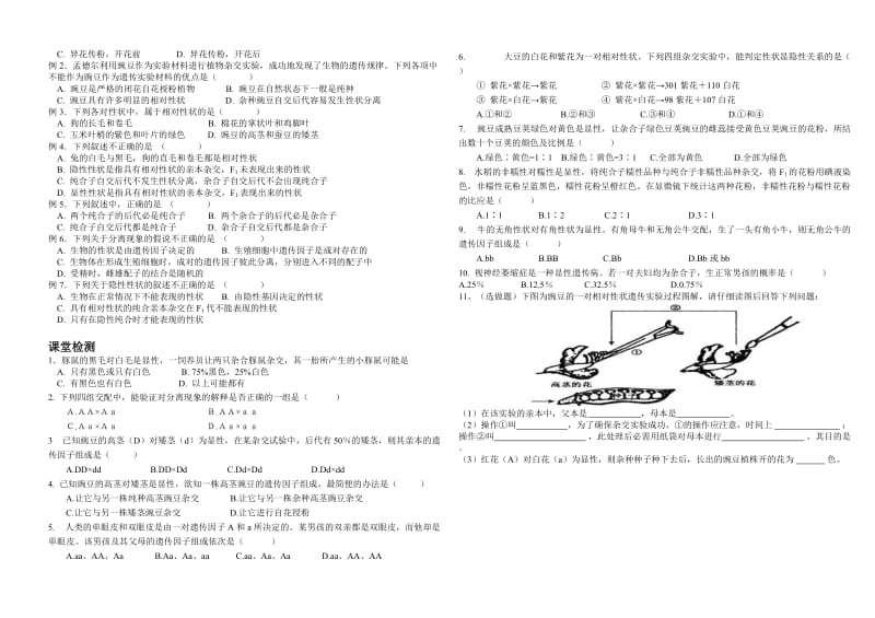 2019-2020年高中生物 孟德尔的豌豆杂交实验（一）教案 人教版.doc_第2页