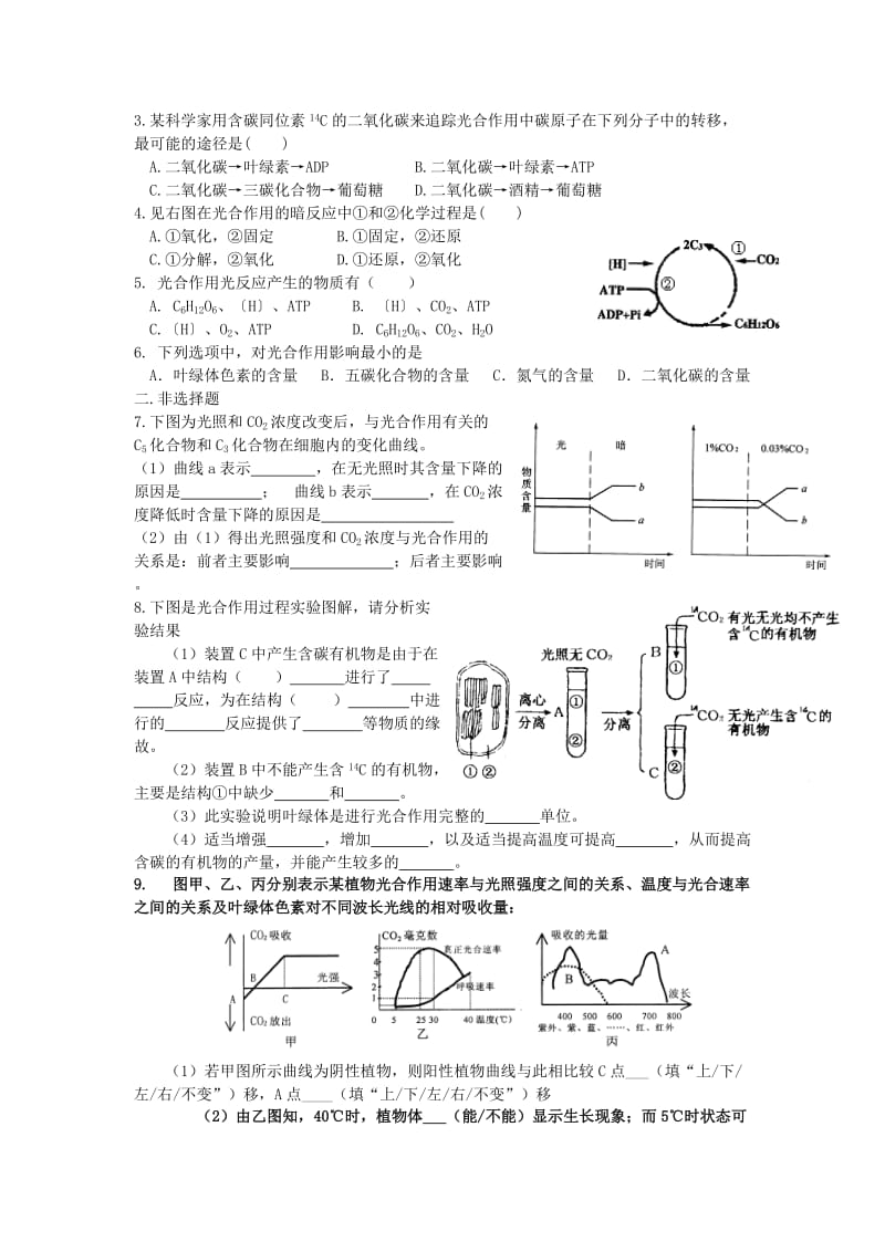 2019-2020年高中生物 第9课 光合作用教案 新人教版必修1.doc_第3页