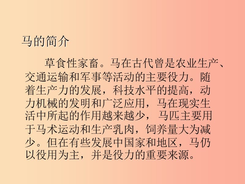 三年级语文上册第二单元5红马的故事课件鄂教版.ppt_第3页