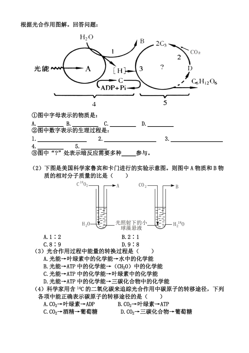 2019-2020年高中生物 光合作用的过程学案 苏教版必修1.doc_第2页