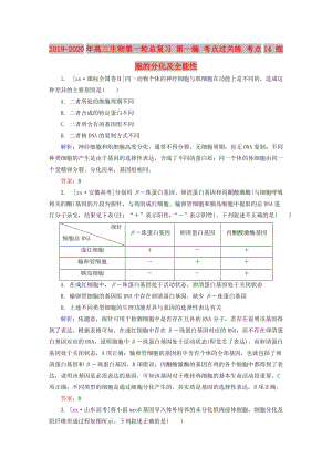 2019-2020年高三生物第一輪總復(fù)習(xí) 第一編 考點(diǎn)過關(guān)練 考點(diǎn)14 細(xì)胞的分化及全能性.doc