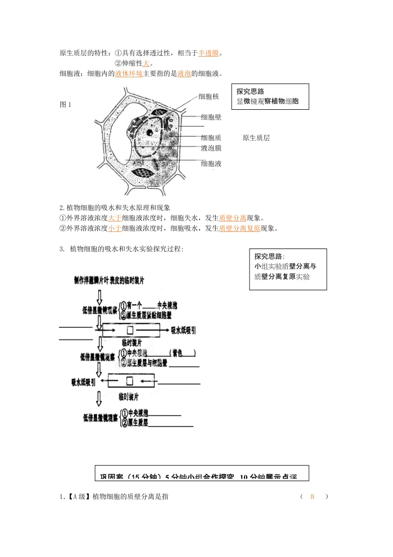 2019-2020年高中生物 第四章第一节 物质跨膜运输的实例教学案 新人教版必修1.doc_第2页