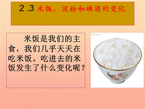 六年級科學(xué)下冊 第二單元 物質(zhì)的變化 3《米飯 淀粉和碘酒的變化》課件1 教科版.ppt