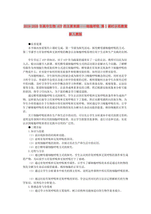 2019-2020年高中生物 ATP的主要來源——細胞呼吸 第1課時示范教案 新人教版 .doc