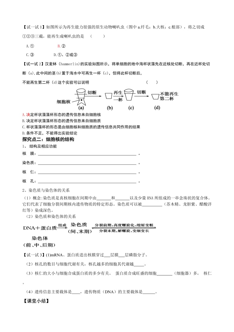 2019-2020年高一生物 3.3《细胞核—系统的控制中心》教学案 新人教版必修1.doc_第3页