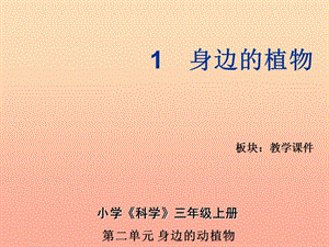 三年級科學(xué)上冊 2.1 身邊的植物課件2 湘教版.ppt