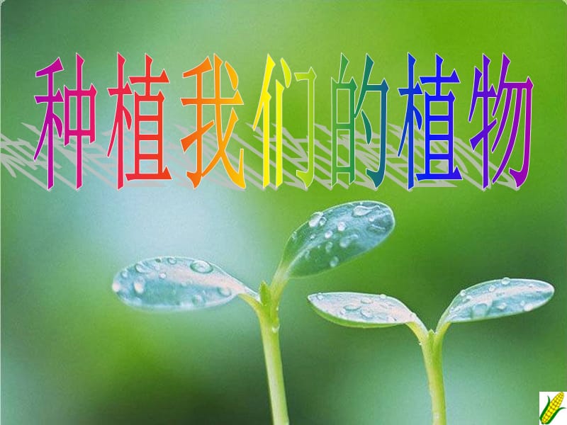 三年级科学下册 植物的生长变化 2 种植我们的植物课件4 教科版.ppt_第1页