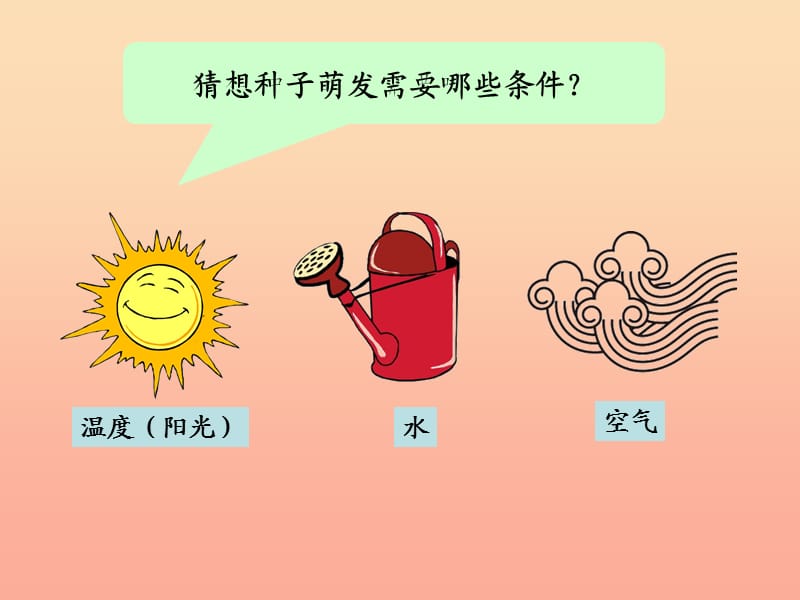 三年级科学下册 植物的生长变化 2 种植我们的植物课件4 教科版.ppt_第3页