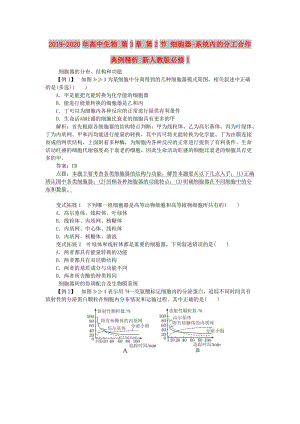 2019-2020年高中生物 第3章 第2節(jié) 細(xì)胞器-系統(tǒng)內(nèi)的分工合作典例精析 新人教版必修1.doc