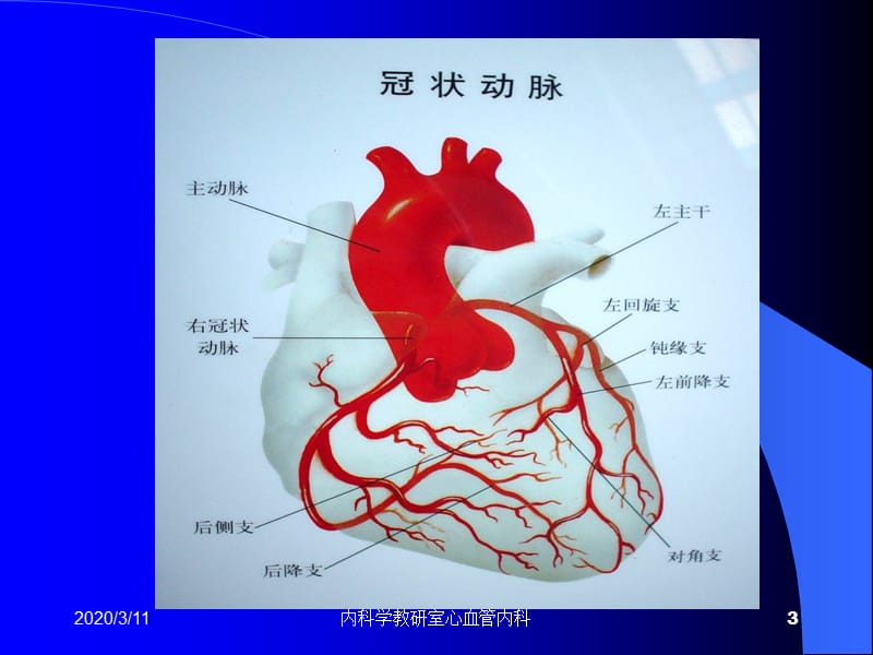 心律失常总论_第3页