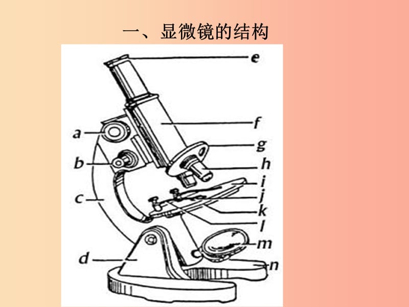 山东省威海市文登区实验鲁中学六年级生物上册 2.1.1 练习使用显微镜（第3课时）复习课件 鲁科版五四制.ppt_第1页