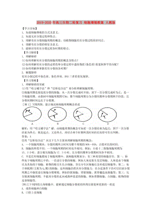 2019-2020年高三生物二輪復(fù)習(xí) 細(xì)胞增殖教案 人教版.doc