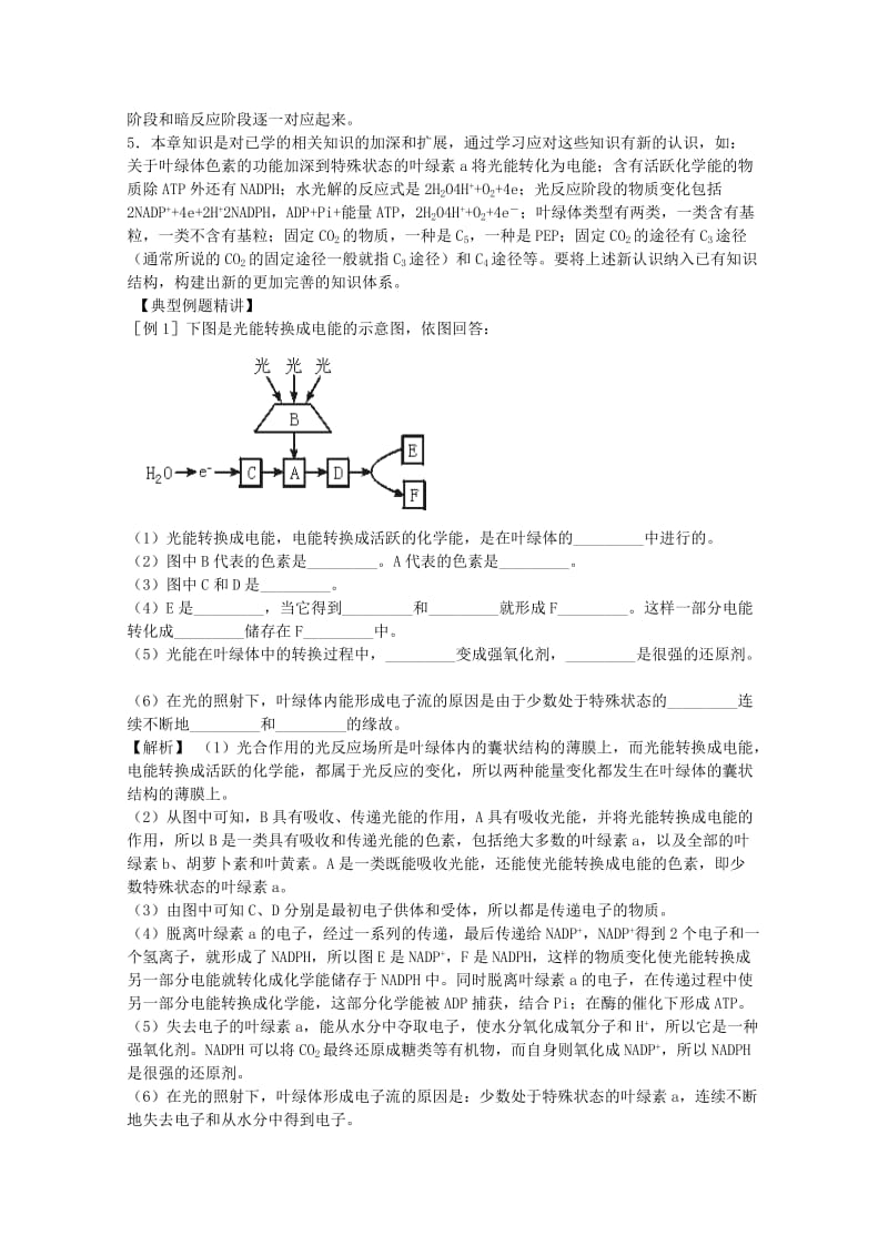 2019-2020年高三生物二轮复习 光合作用教案2 人教版.doc_第3页