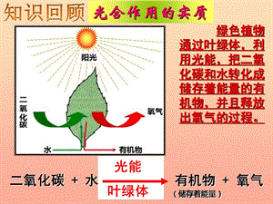 六年級生物下冊 第三單元 第五章 呼吸作用消耗氧氣釋放二氧化碳教學(xué)課件 魯科版（五四制）.ppt