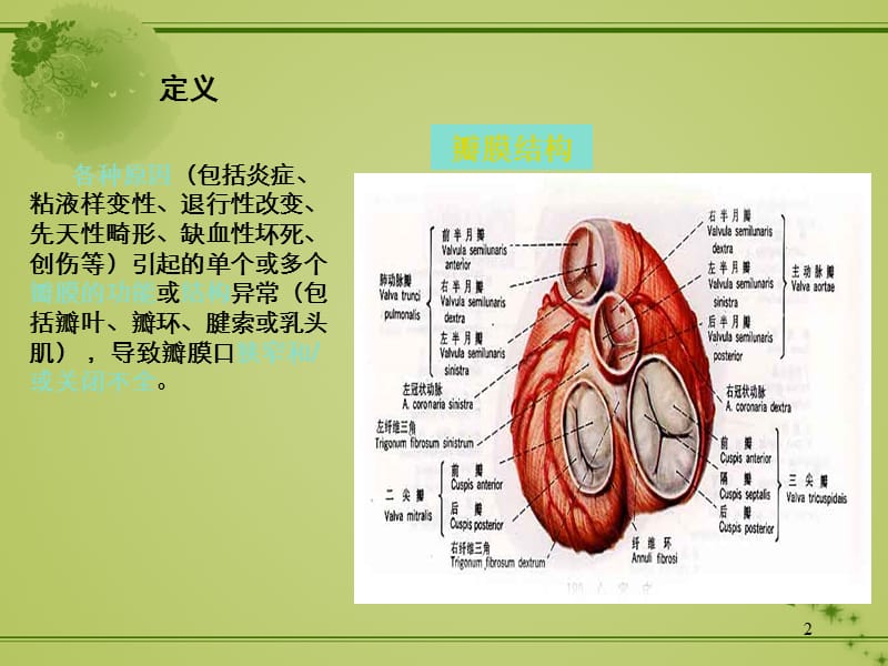 心脏瓣膜病及术后监护PPT课件_第2页