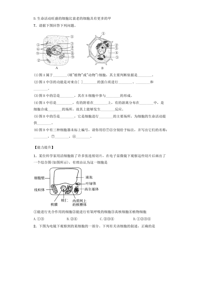 2019-2020年高中生物 课时9 细胞器之间的分工课后练习 新人教版必修1.doc_第2页