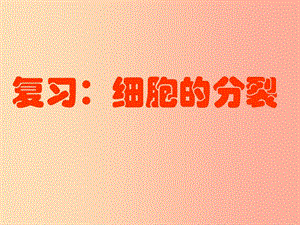 山東省威海市文登區(qū)實(shí)驗(yàn)魯中學(xué)六年級(jí)生物上冊(cè) 2.3.1 細(xì)胞的分裂復(fù)習(xí)課件 魯科版五四制.ppt