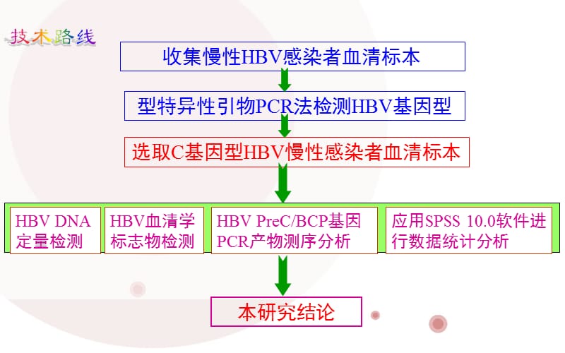 乙肝突变_第3页