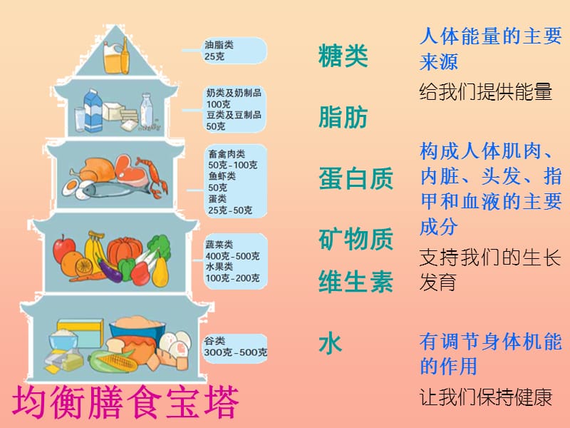 四年级科学下册 3 食物 5 面包发霉了课件1 教科版.ppt_第1页