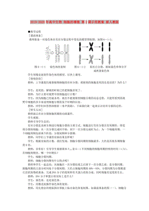 2019-2020年高中生物 細胞的增殖 第2課示范教案 新人教版.doc