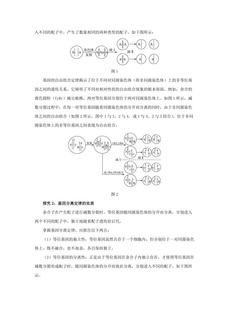 2019-2020年高中生物 第二节遗传的染色体学说辅导教案 浙科版.doc_第2页