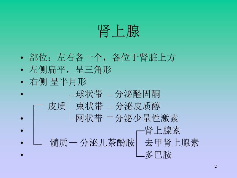 嗜铬细胞瘤基础病理ppt课件_第2页