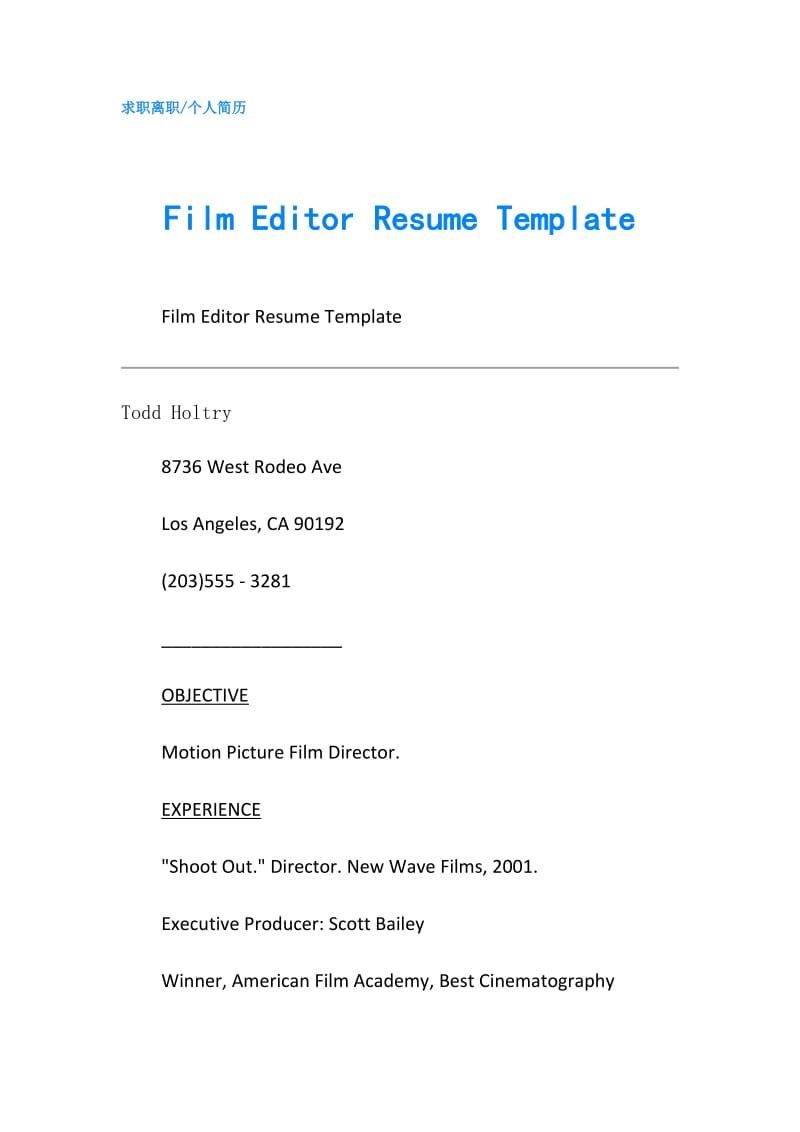 Film Editor Resume Template.doc_第1页