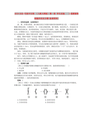 2019-2020年高中生物 （人教大綱版）第一冊 學(xué)生實(shí)驗(yàn) 3觀察植物細(xì)胞的有絲分裂(備課資料).doc