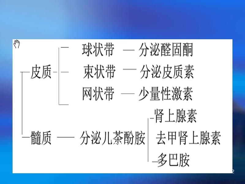 嗜铬细胞瘤小讲课ppt课件_第2页