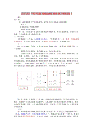 2019-2020年高中生物 細(xì)胞的分化 教案 新人教版必修1.doc