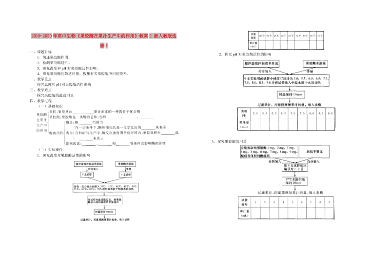 2019-2020年高中生物《果胶酶在果汁生产中的作用》教案2 新人教版选修1.doc_第1页