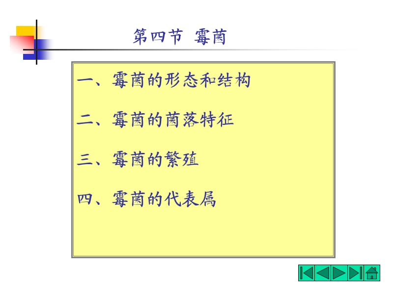 食品微生物霉菌ppt课件_第1页