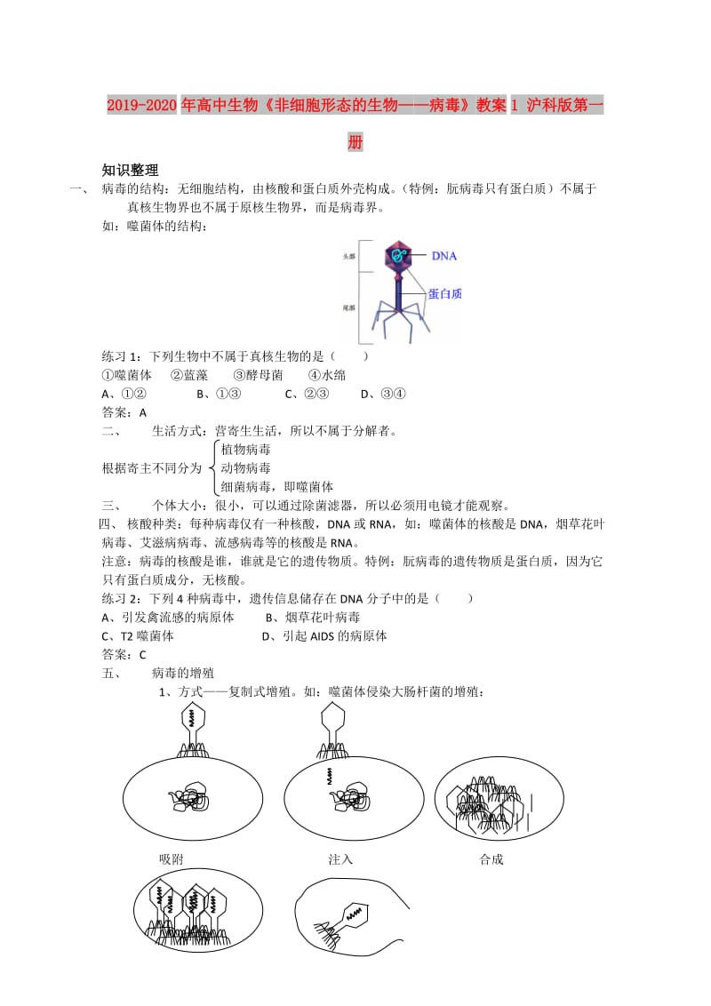 2019-2020年高中生物《非细胞形态的生物——病毒》教案1 沪科版第一册.doc_第1页