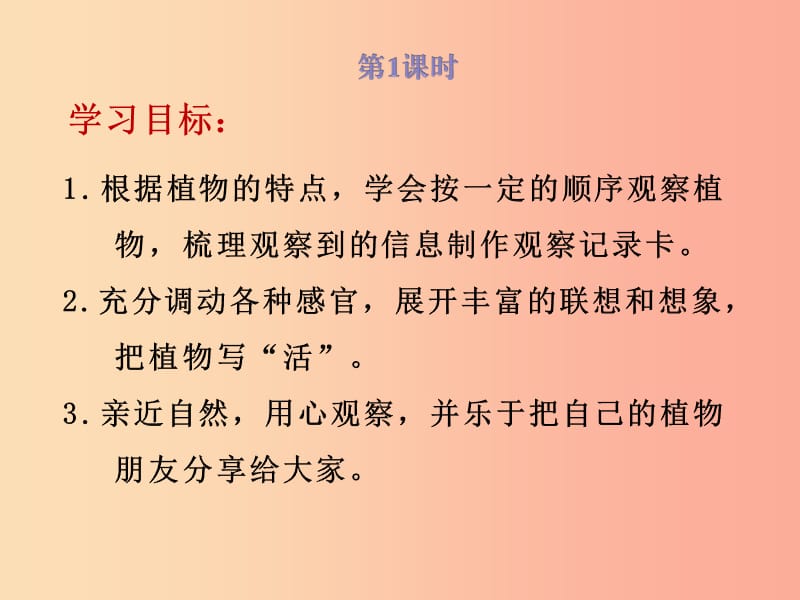 三年级语文下册 第一单元 习作《我的植物朋友》课件 新人教版.ppt_第2页